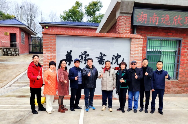 华舜传媒书画院女神节聚首，共商湘商文化海外推广